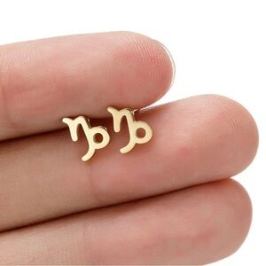 3 For $35 18K Gold Unisex Capricorn Zodiac Sign Minimalist Stud Earrings